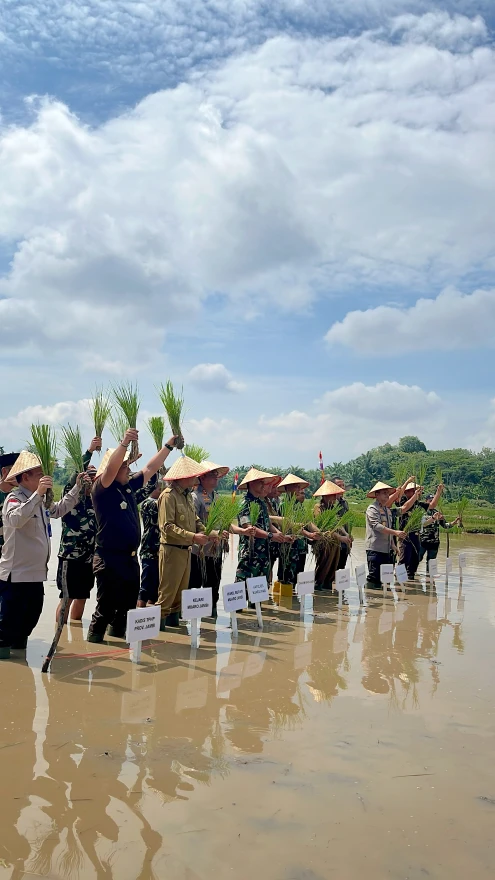 Desa Tunas Mudo Dukung Program Presiden Prabowo, Laksanakan Penanaman Padi Serentak Nasional